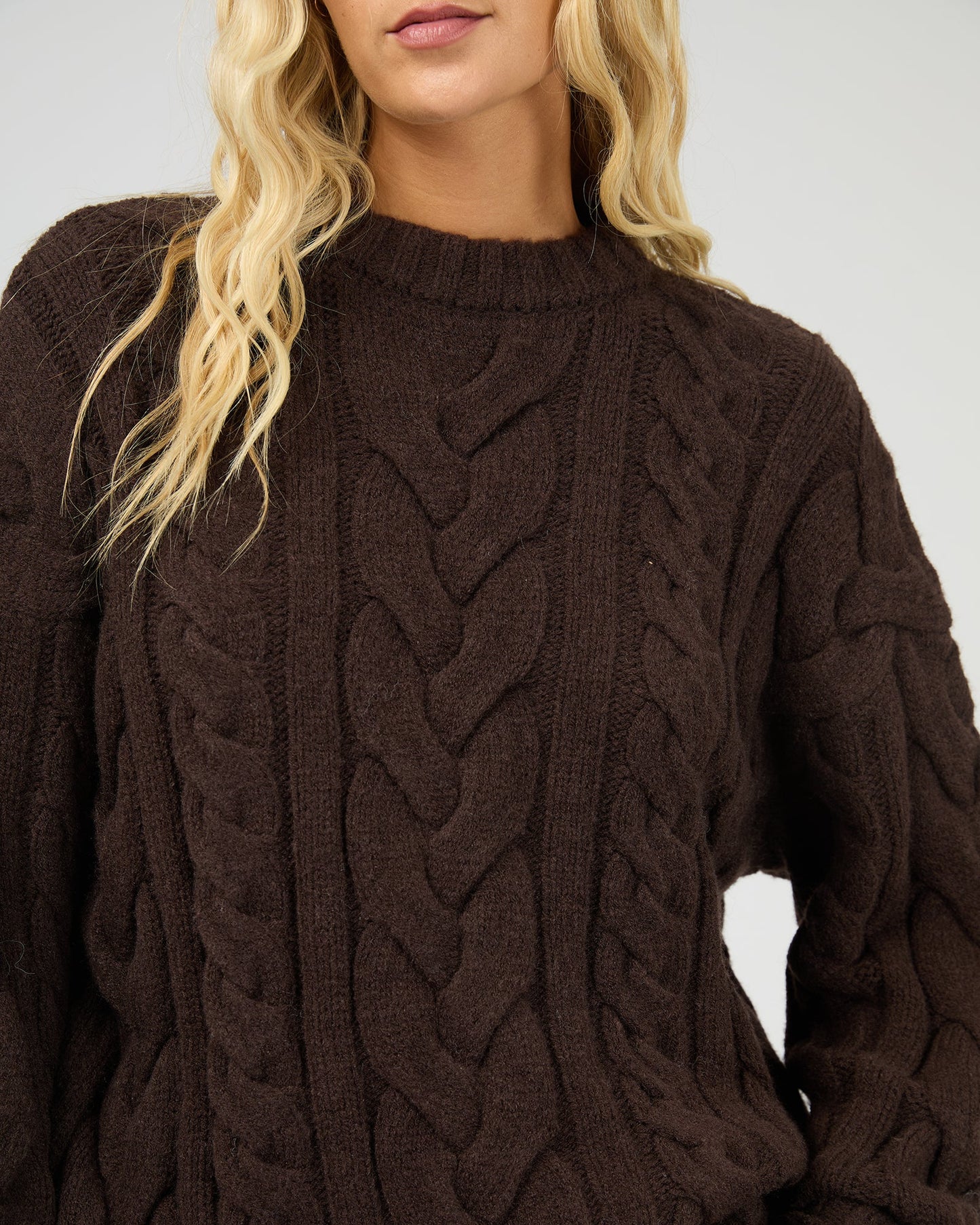ALL ABOUT EVE Higgins Cable Knit - Brown