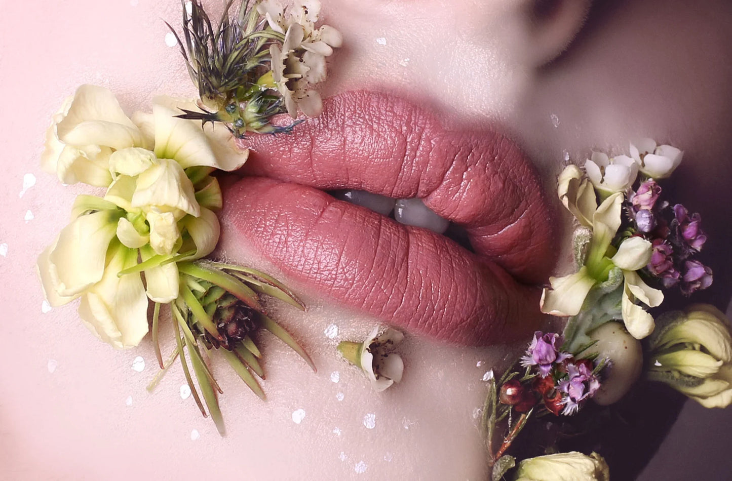 SUZY. LIP SATIN - Miss Jacqui Pink Lace