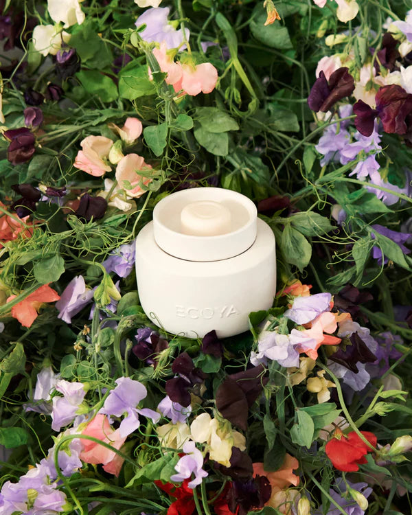 ECOYA Soy Wax Melts - Sweet Pea & Jasmine