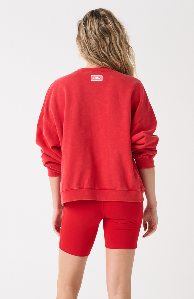 CARTEL & WILLOW Ada Slim Sweater - Red